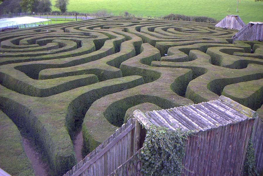 Hedge maze photo by Rurik [Public domain], from Wikimedia Commons.